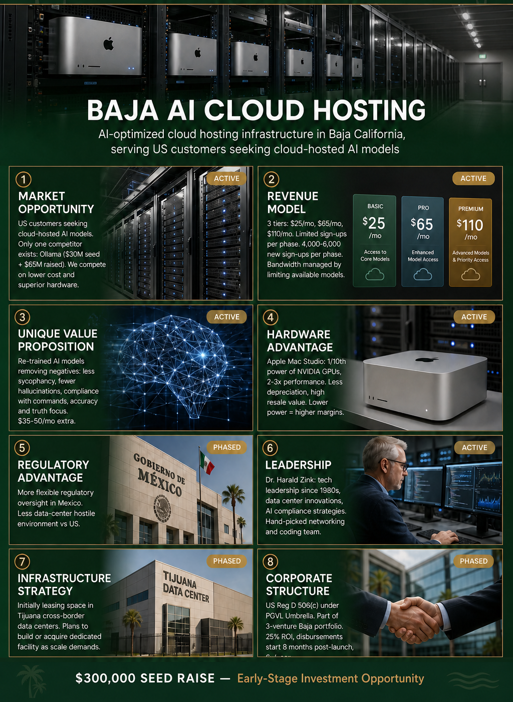Baja AI Cloud Investor Infographic