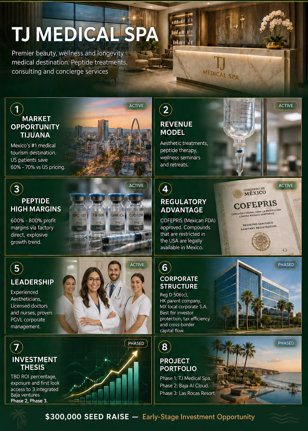 TJ Medical Spa Investor Infographic